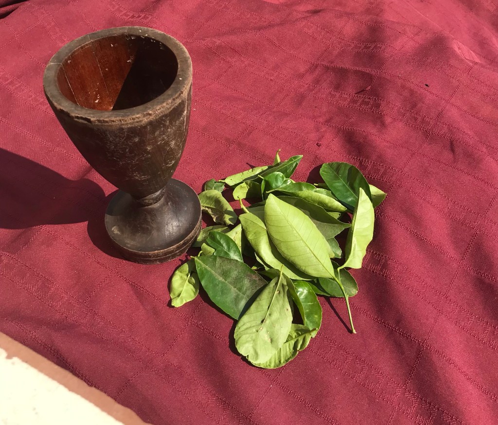 Imagem com folhas de limoeiro e pilador de alho